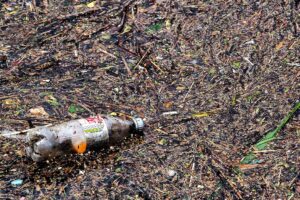 L’isola di plastica più grande al mondo L’isola di plastica più grande al mondo