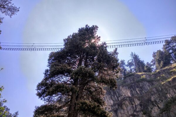 Dove si trova il ponte tibetano più lungo del mondo