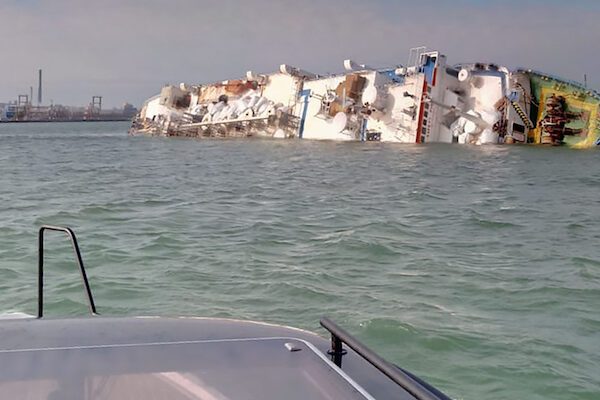 Strage di pecore sul Mar Nero, nave si ribalta con 15mila ovini a bordo