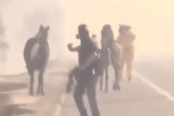 Cavallo eroe torna indietro per salvare la famiglia dalle fiamme – VIDEO