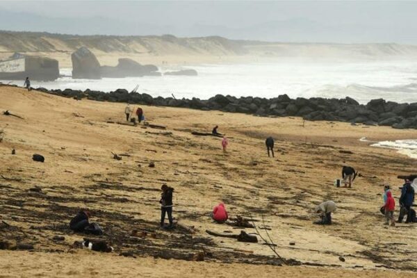 I narcos perdono il carico dalla barca, spiagge invase dalla cocaina
