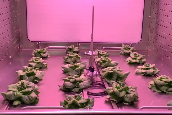 Come far crescere la vita nello spazio. Apre il laboratorio di ricerca spaziale a Napoli