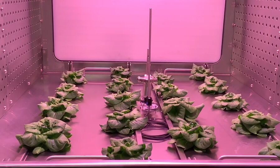 Come far crescere la vita nello spazio. Apre il laboratorio di ricerca spaziale a Napoli