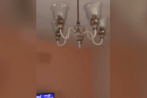 Terremoto il Albania, la scossa ripresa in un video