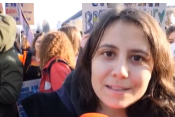La manifestazione di Fridays for Future a Torino
