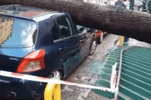 Napoli, maltempo killer: uomo morto schiacciato da albero