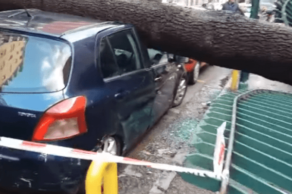 Napoli, maltempo killer: uomo morto schiacciato da albero