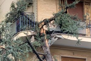 Napoli, maltempo killer: uomo morto schiacciato da albero