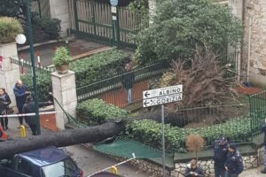Napoli, maltempo killer: uomo morto schiacciato da albero