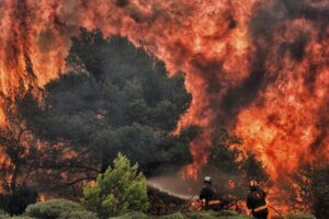 Emergenza incendi, nel 2019 più di 20 milioni di ettari di foreste bruciate