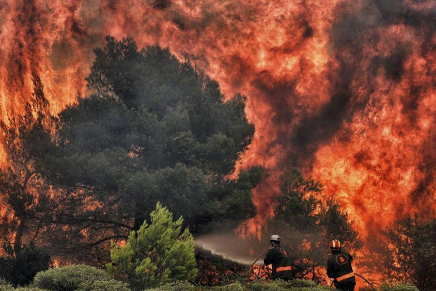Emergenza incendi, nel 2019 più di 20 milioni di ettari di foreste bruciate