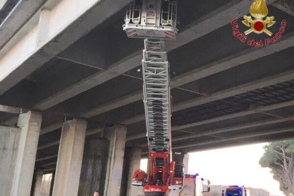 Calcinacci giù dal viadotto dell’A12, detriti sull’Aurelia Calcinacci giù dal viadotto dell’A12, detriti sull’Aurelia