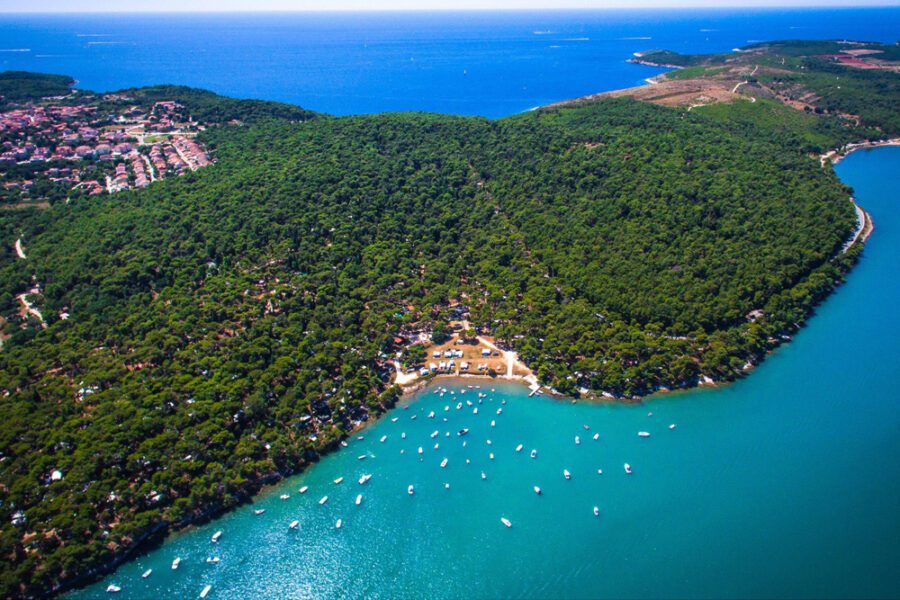 “L’isola”, il libro di Stuparich che racconta la perdita di un padre