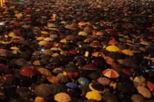 No delle sardine a Casapound: “Siamo antifascisti”