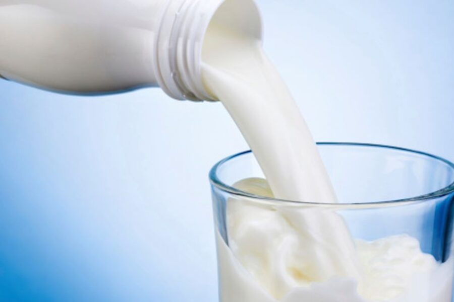 Business del latte, colpo ai Casalesi: 7 arresti tra cui noto imprenditore