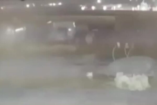 Aereo abbattuto in Iran, spunta un nuovo video: “È stato colpito da due missili”