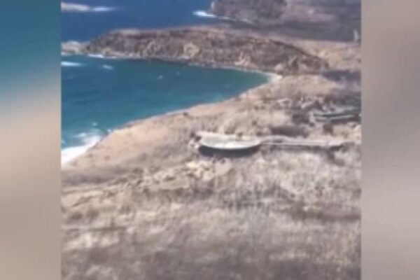 Australia, la devastazione dei roghi dall’alto