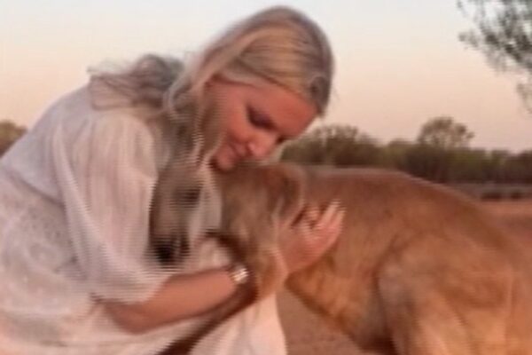 Australia: i commoventi abbracci del canguro “Abi” ai suoi salvatori