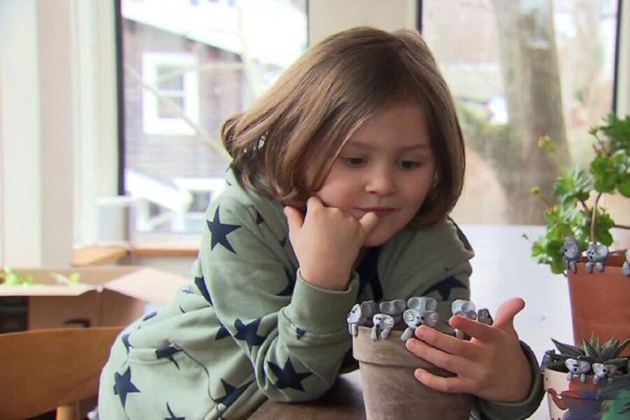 “Salviamo i koala”, bimbo raccoglie 200mila euro con le sue creazioni