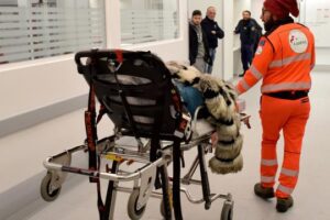 Crolla controsoffitto in hotel durante il veglione di Capodanno: 6 feriti Crolla controsoffitto in hotel durante il veglione di Capodanno: 6 feriti