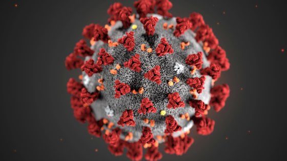 Coronavirus, lo Spallanzani isola il virus: “Ora possiamo studiarlo e capire cure”
