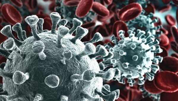 Coronavirus, l’esperta: “In Italia l’epidemia non c’è, la psicosi è immotivata”