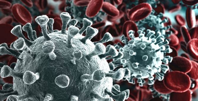 Coronavirus, l’esperta: “In Italia l’epidemia non c’è, la psicosi è immotivata”