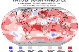 Gennaio 2020 è stato il mese più caldo della storia: nell’Antartide per la prima volta temperatura superiore ai 20 gradi