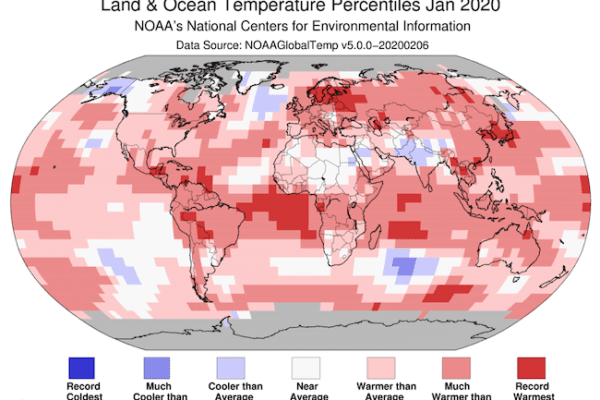 Gennaio 2020 è stato il mese più caldo della storia: nell’Antartide per la prima volta temperatura superiore ai 20 gradi