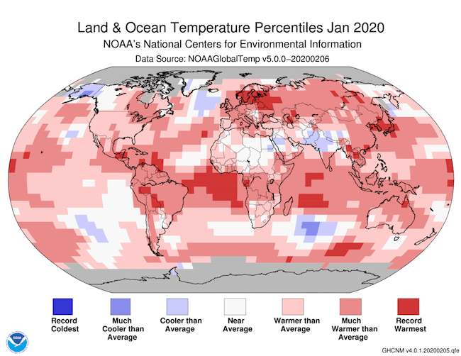 Gennaio 2020 è stato il mese più caldo della storia: nell’Antartide per la prima volta temperatura superiore ai 20 gradi