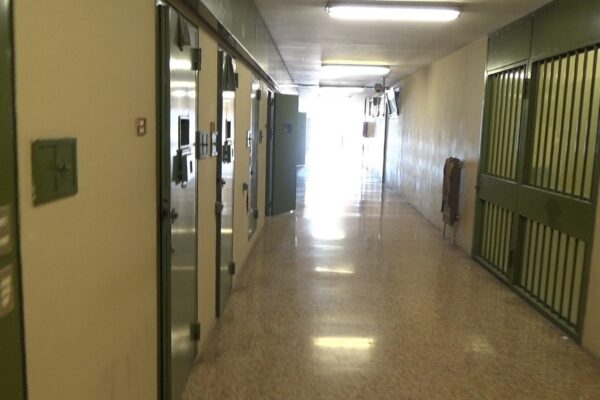 Carceri, Capriccioli: “Approvata mozione su Mammagialla, ora si faccia piena luce”