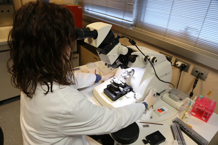 Ricercatrice precaria isola il Coronavirus: “Alla ricerca solo briciole”