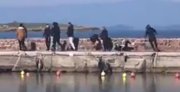 Migranti, a Lesbo gli abitanti bloccano gli sbarchi: calci a reporter e volontari