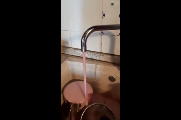 Il sogno per gli appassionati di vino, dai rubinetti di Modena sgorga Lambrusco