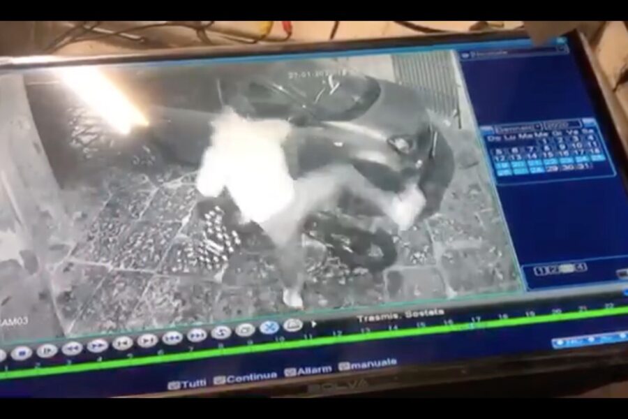 Rubata bicicletta ad Arturo, la madre: “Altro sfregio a mio figlio”