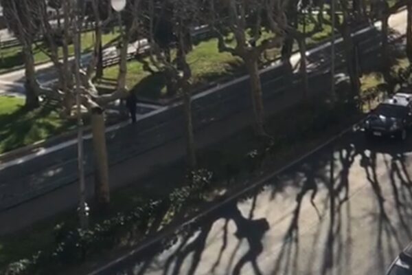 La linea-De Luca fa la differenza con l’Europa. Tutti a casa, anche il cagnetto