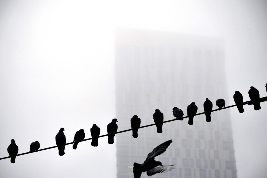 La nostra società flirta sempre più con la ferocia, guai a dire che è naturale