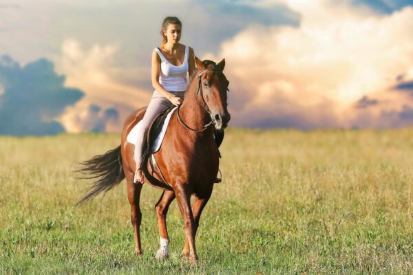 Il dramma delle scuole di equitazione, costi alti e nessun aiuto