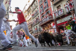 Bulls of the La Palmosilla bull ranch run down a street during the traditional San Fermin bull run in Pamplona, Spain, 13 July 2019. The festival, locally known as Sanfermines, is held annually from 06 to 14 July in commemoration of the city’s patron saint. Hundreds of thousands of visitors from all over the world attend the fiesta, with many of them physically participating in the highlight event – the running of the bulls, or encierro.