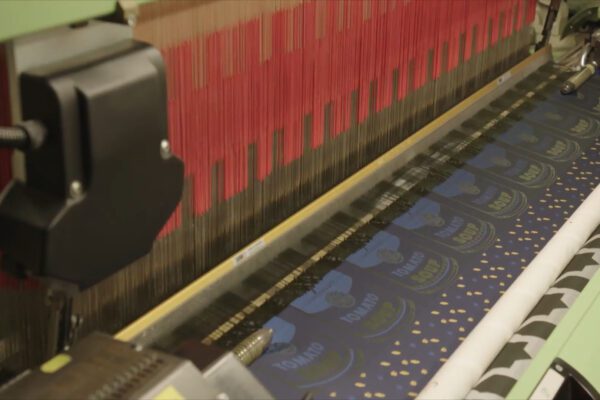 Intervista con l’imprenditore Michele Canepa: “I soldi del decreto liquidità servono ora”