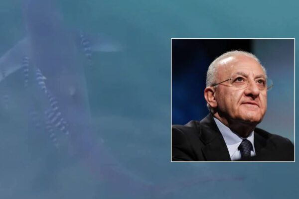 Squalo nel porto di Pozzuoli, il web “L’ha messo De Luca per non farci andare a mare”
