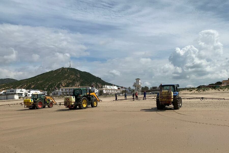 Spruzzano candeggina sulle spiagge per disinfettarla: ecosistema a rischio