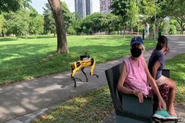 Parchi aperti: il cane-robot fa rispettare le distanze