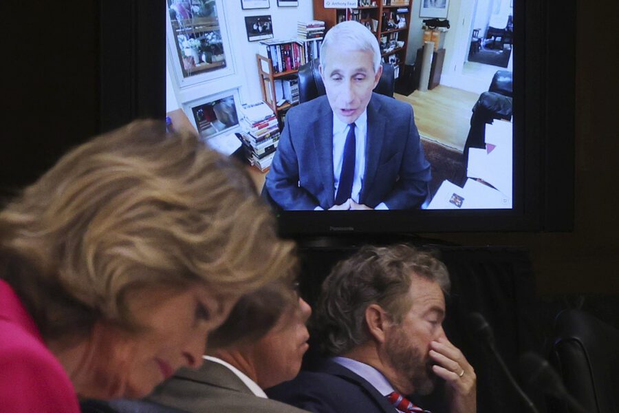 Senators listen as Dr. Anthony Fauci, director of the National Institute of Allergy and Infectious Diseases, speaks remotely during a virtual Senate Committee for Health, Education, Labor, and Pensions hearing, Tuesday, May 12, 2020 on Capitol Hill in Washington. Seated from left are Sen. Lisa Murkowski, R-Alaska, Sen. Mike Braun, R-Ind., center, and Sen. Rand Paul, R-Ky. (Win McNamee/Pool via AP)