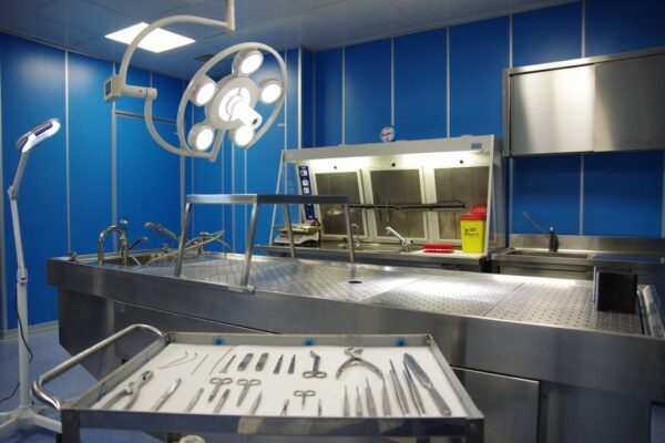 Coronavirus, a Napoli effettuata la prima autopsia: “Passo fondamentale per combatterlo”