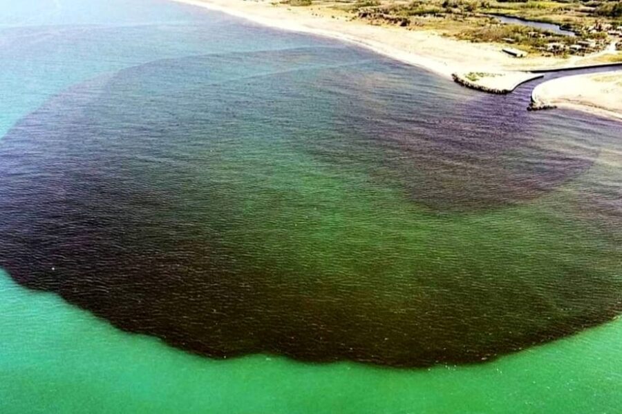 Con la fine del lockdown tornano gli scarichi selvaggi: marea nera sul litorale casertano