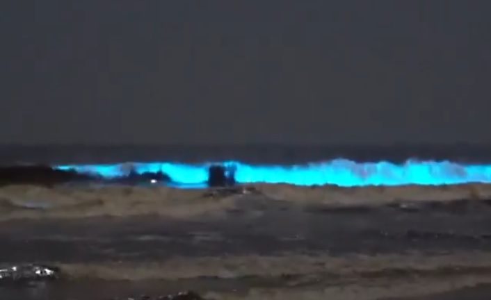 Le onde diventano blu, l’incredibile fenomeno sulle spiagge californiane