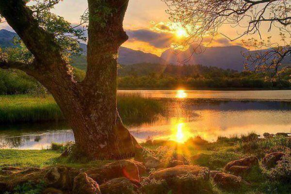 Nella giornata della biodiversità e nella settimana del “Laudato Si” riflettiamo su un nuovo modello di sviluppo sostenibile