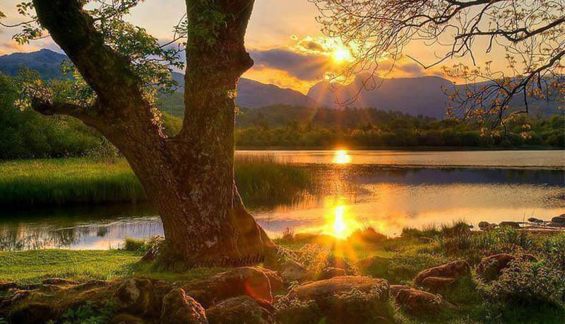 Nella giornata della biodiversità e nella settimana del “Laudato Si” riflettiamo su un nuovo modello di sviluppo sostenibile