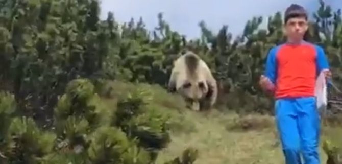 Bambino incontra orso in montagna, non perde la calma: “Se succede fate come Alessandro”